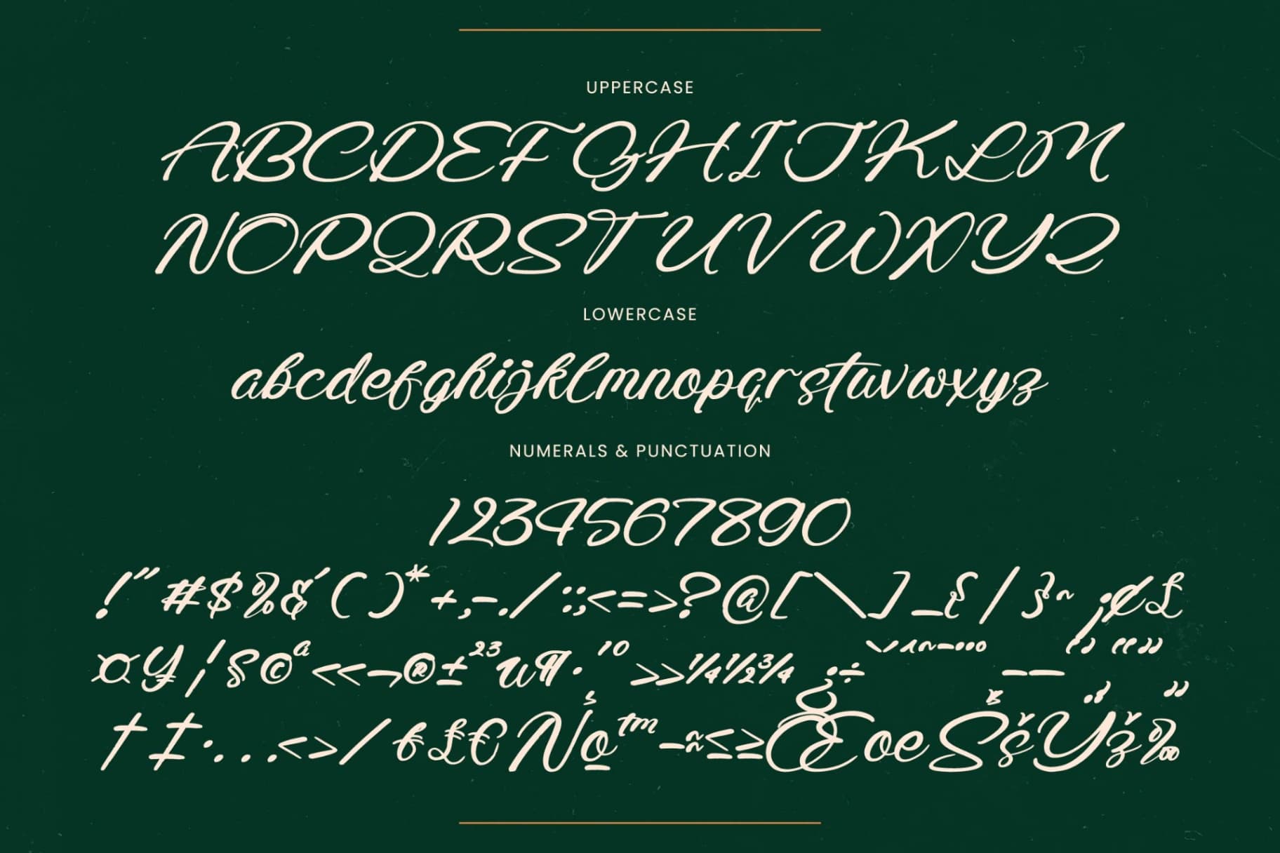 Preview 18 for Radiate Yethina - Modern Script Font