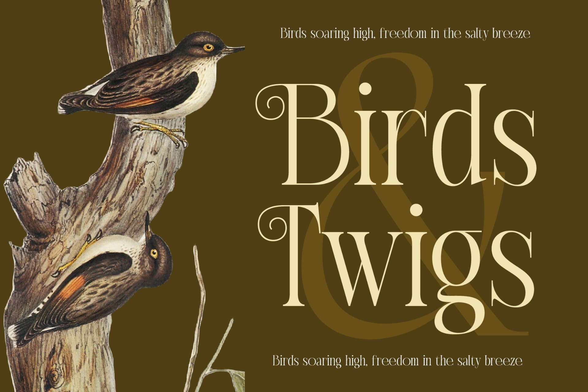 Preview 9 for Exago Maona - Vintage Serif Display