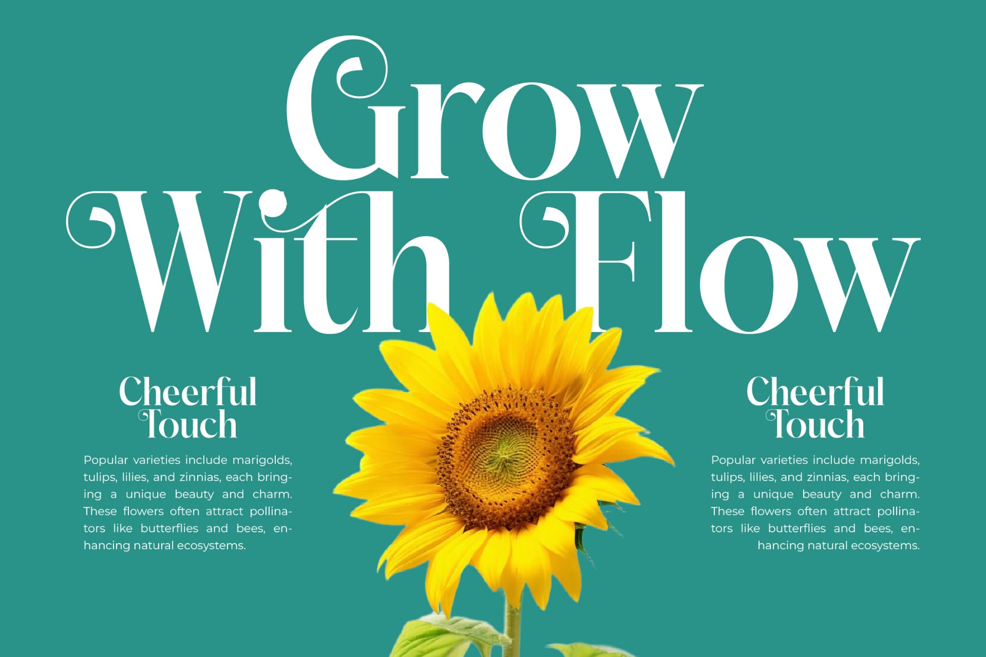 Preview 3 for Dudga Baloval - Elegant Serif Font