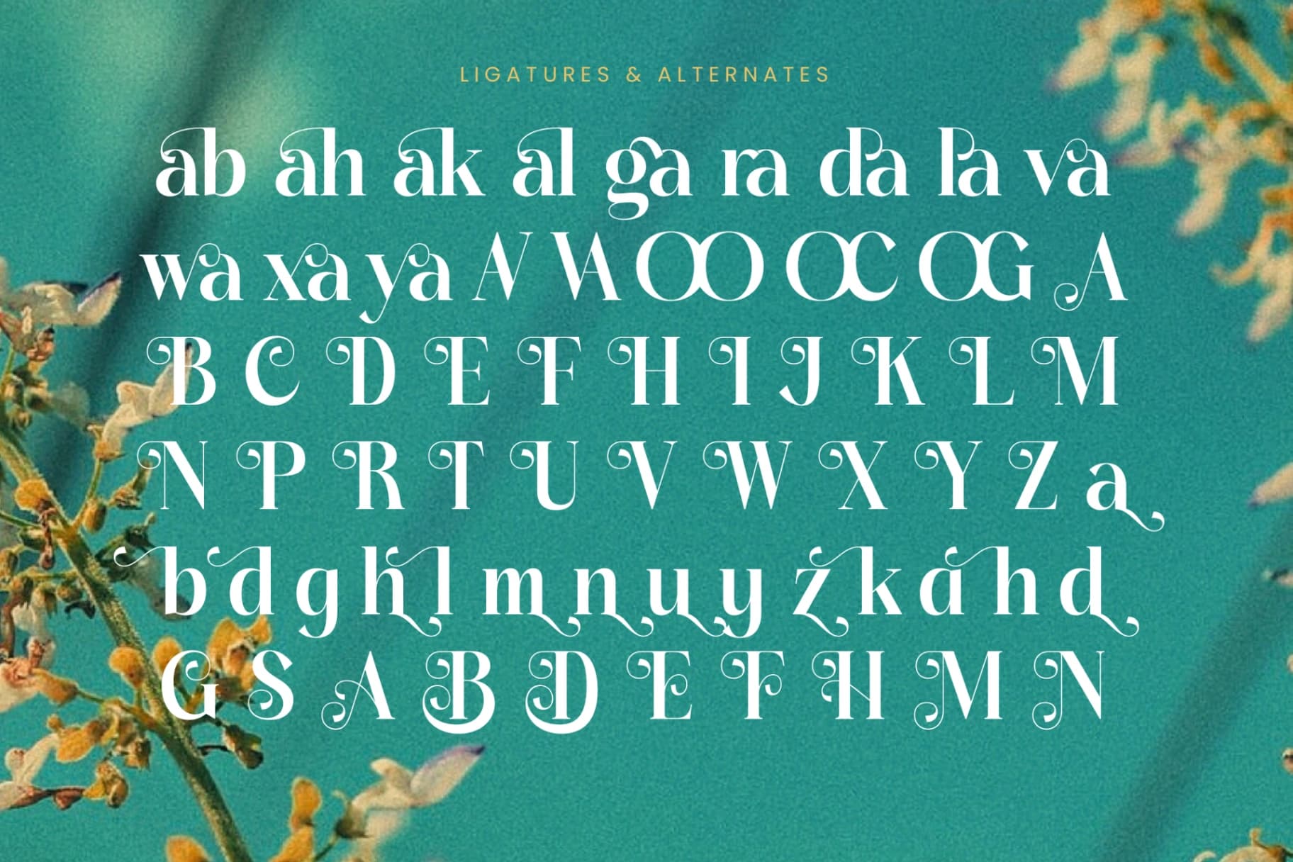 Preview 18 for Dudga Baloval - Elegant Serif Font