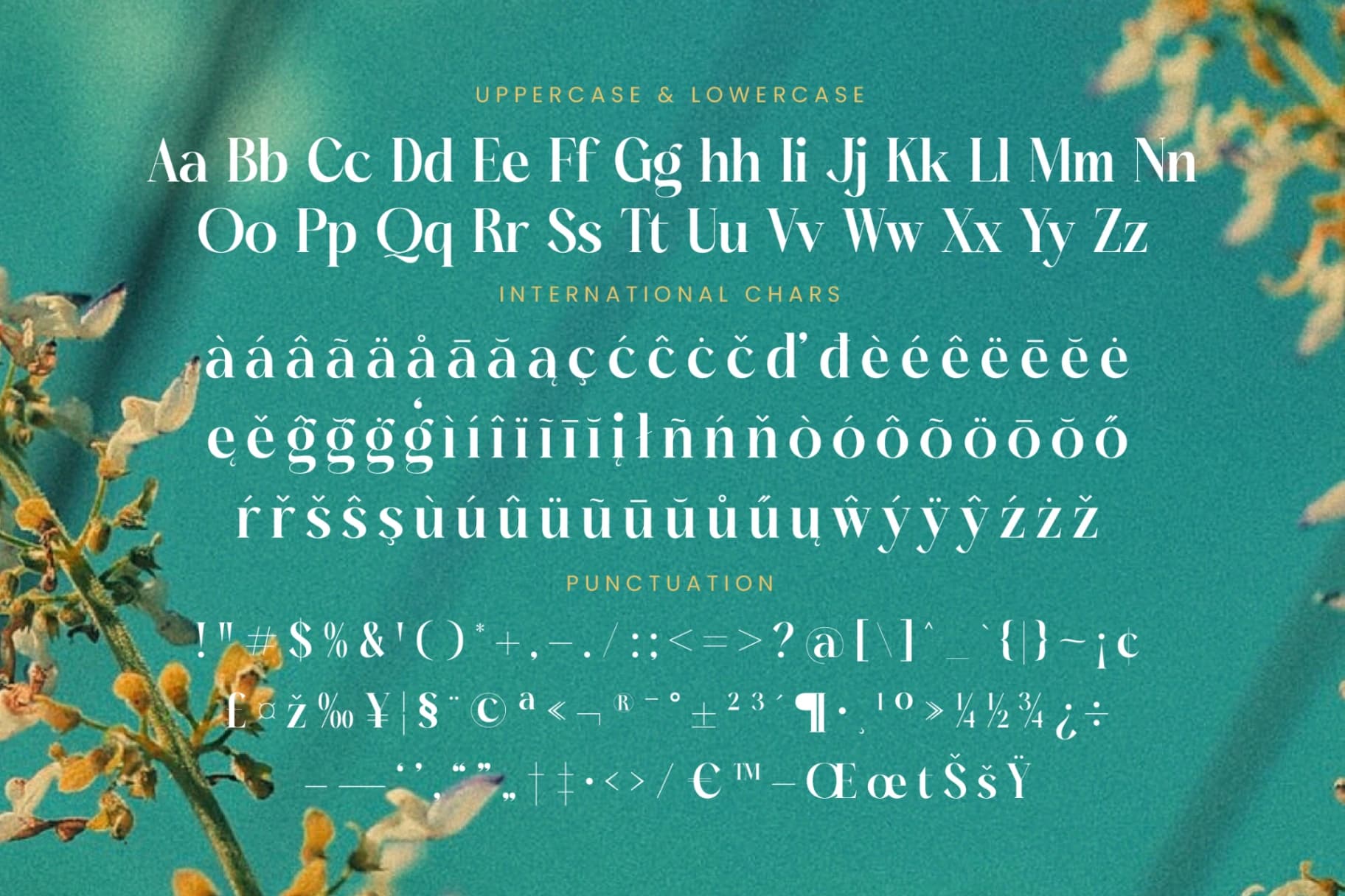 Preview 19 for Dudga Baloval - Elegant Serif Font