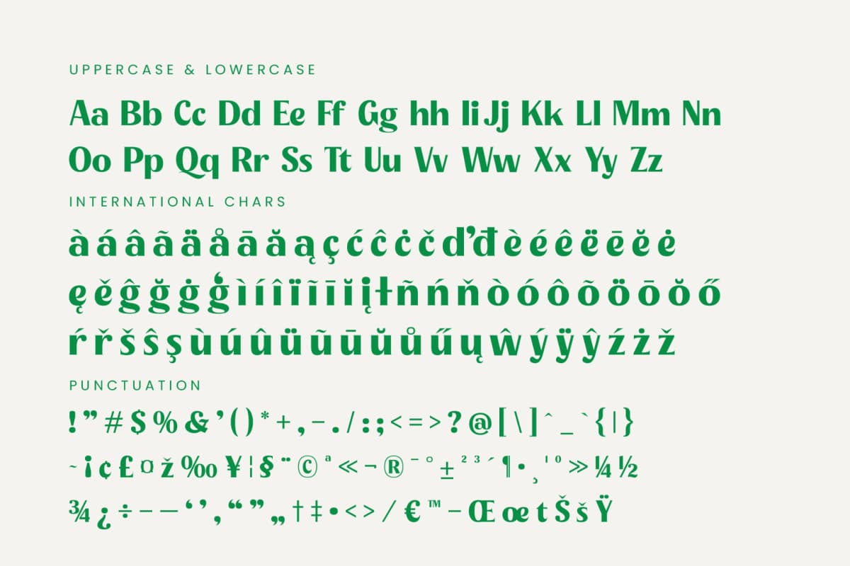 Agorey Dalling - Groovy Serif Display Font font preview 19