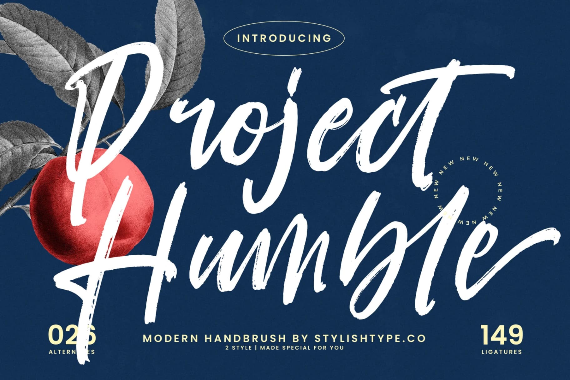 Preview of Project Humble – Modern Handbrush Font font