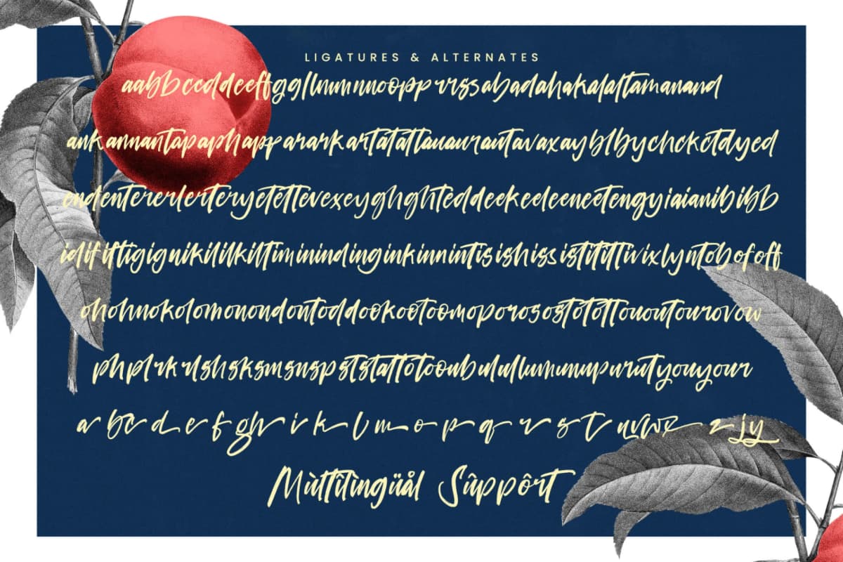 Project Humble – Modern Handbrush Font font preview 19
