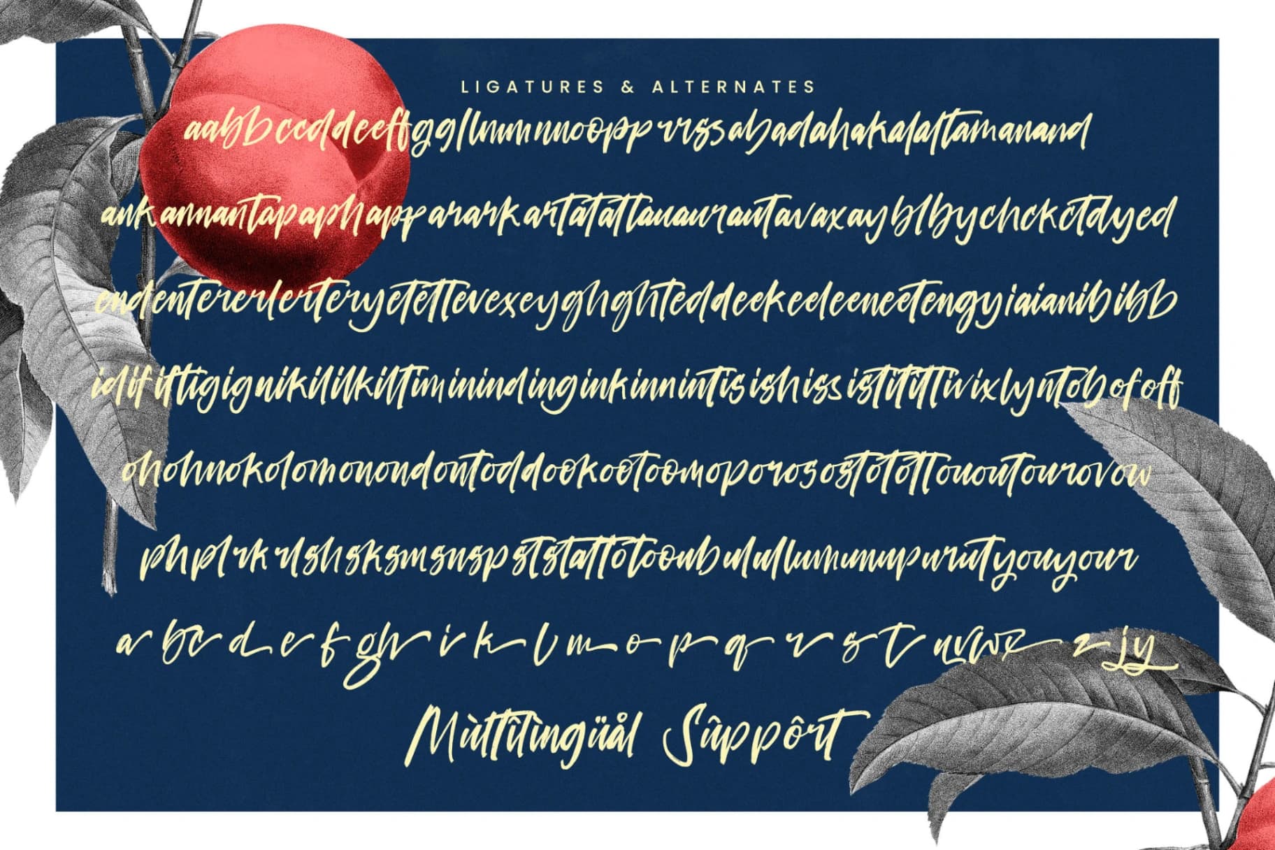 Preview 19 for Project Humble – Modern Handbrush Font