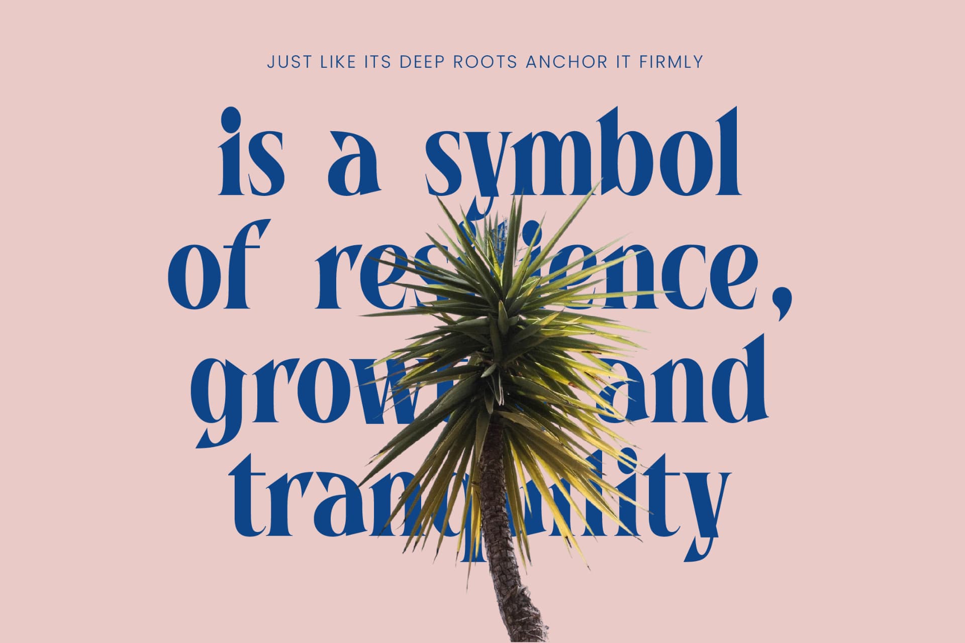 Preview 12 for Bycorps Existent - Modern Bold Serif