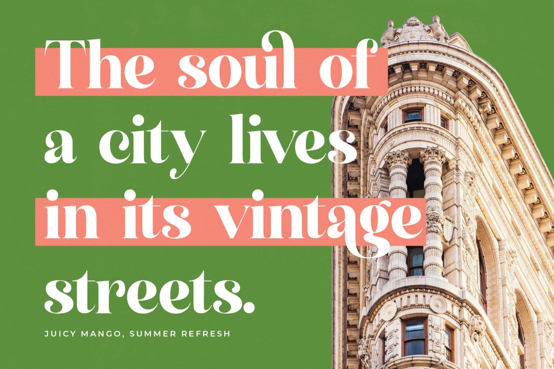 Preview 3 for Manile Vintage - Modern Bold Serif