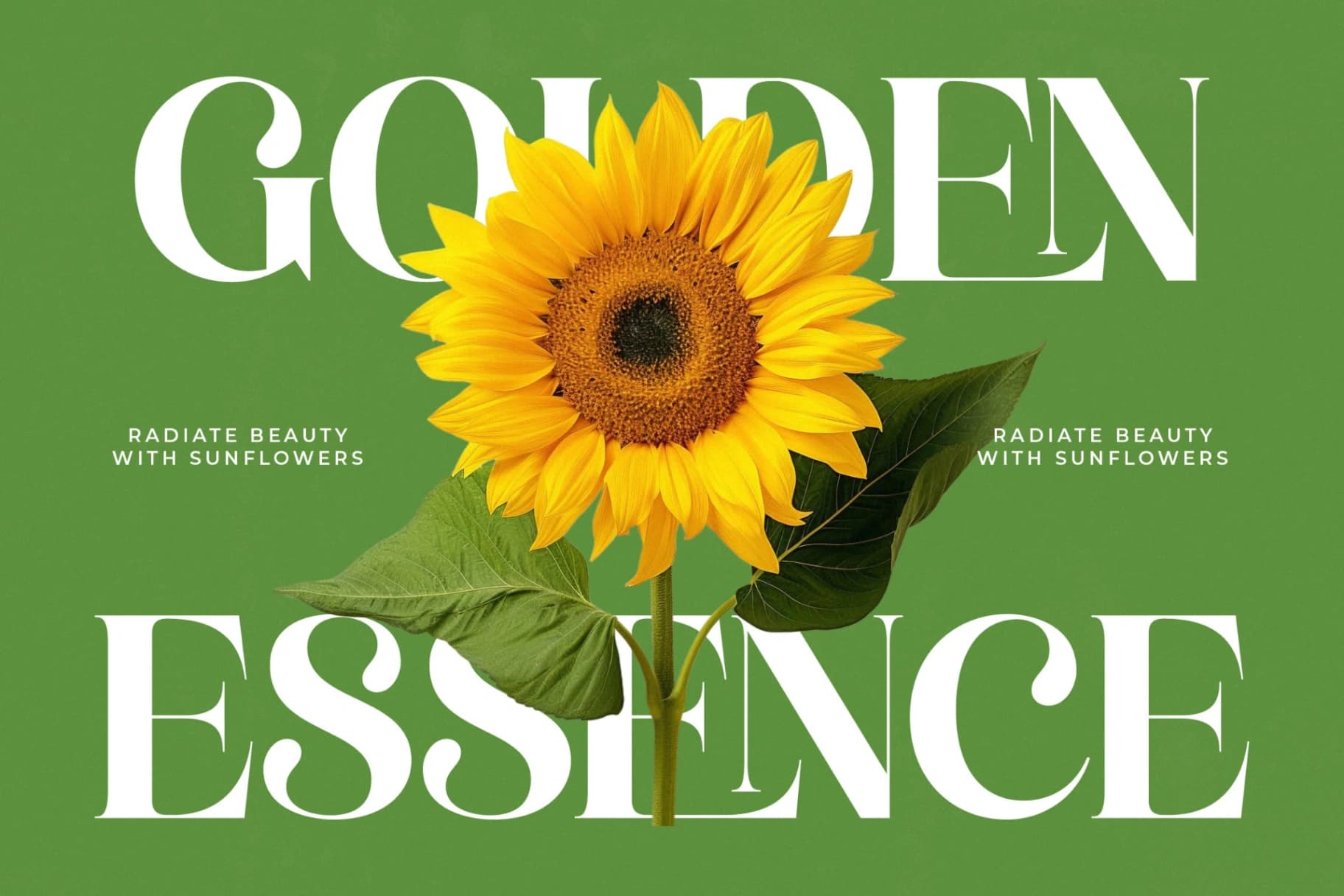 Preview 8 for Manile Vintage - Modern Bold Serif