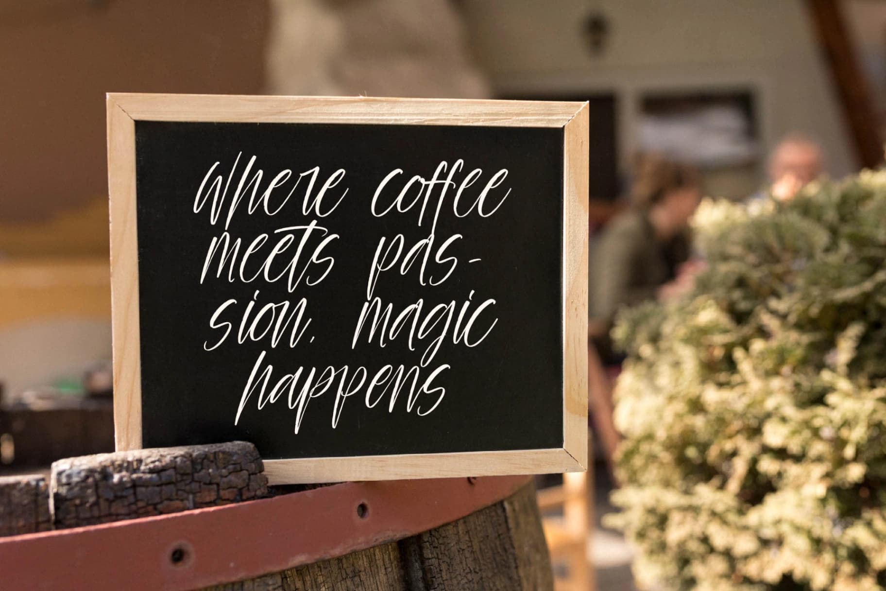Preview 8 for Palm Vibes - Modern Handwritten Font