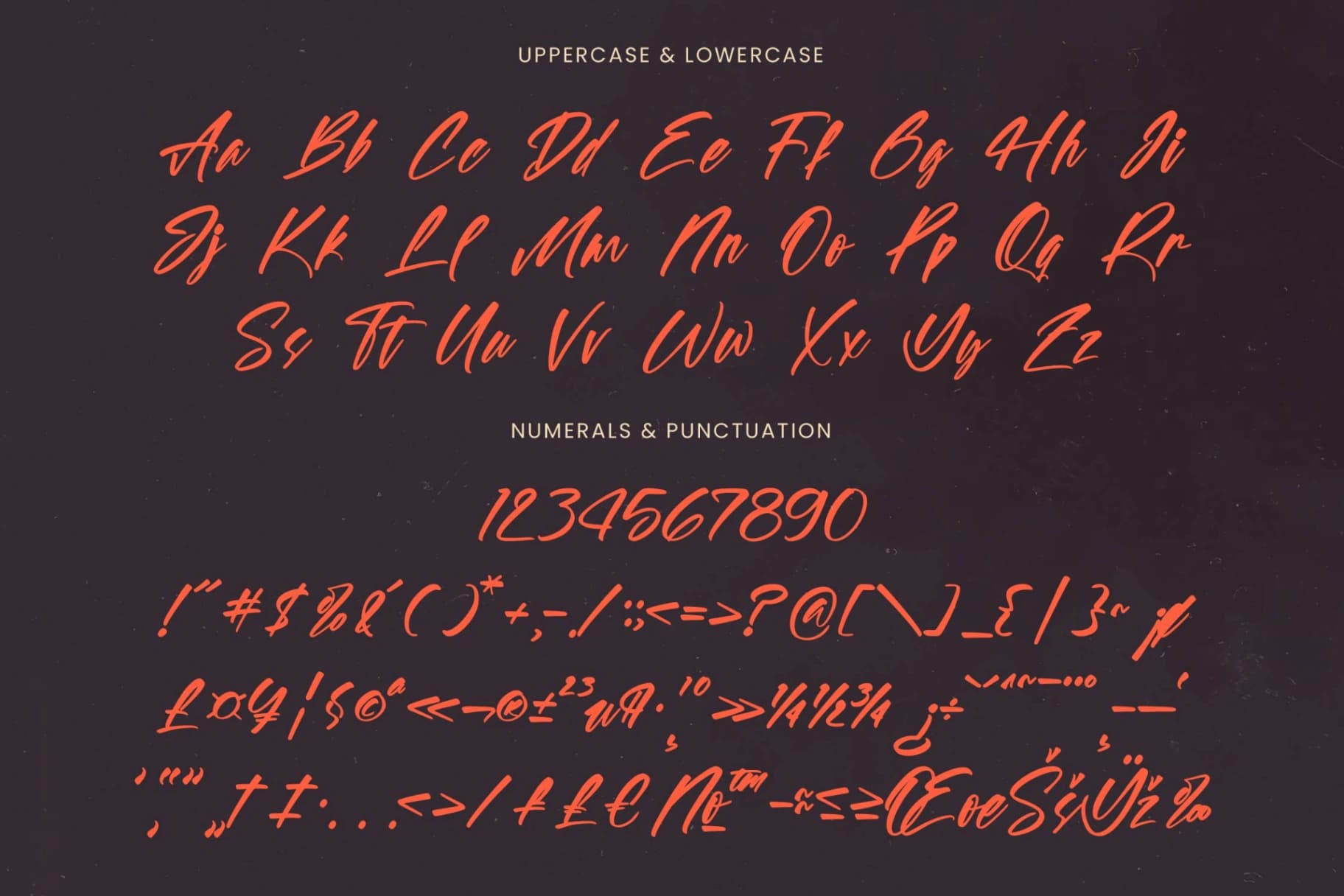 Preview 18 for Spotnight Balmonte - Modern Brush Font