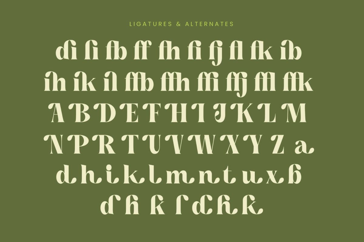 Buffery Reflika - Modern Bold Serif Font font preview 18