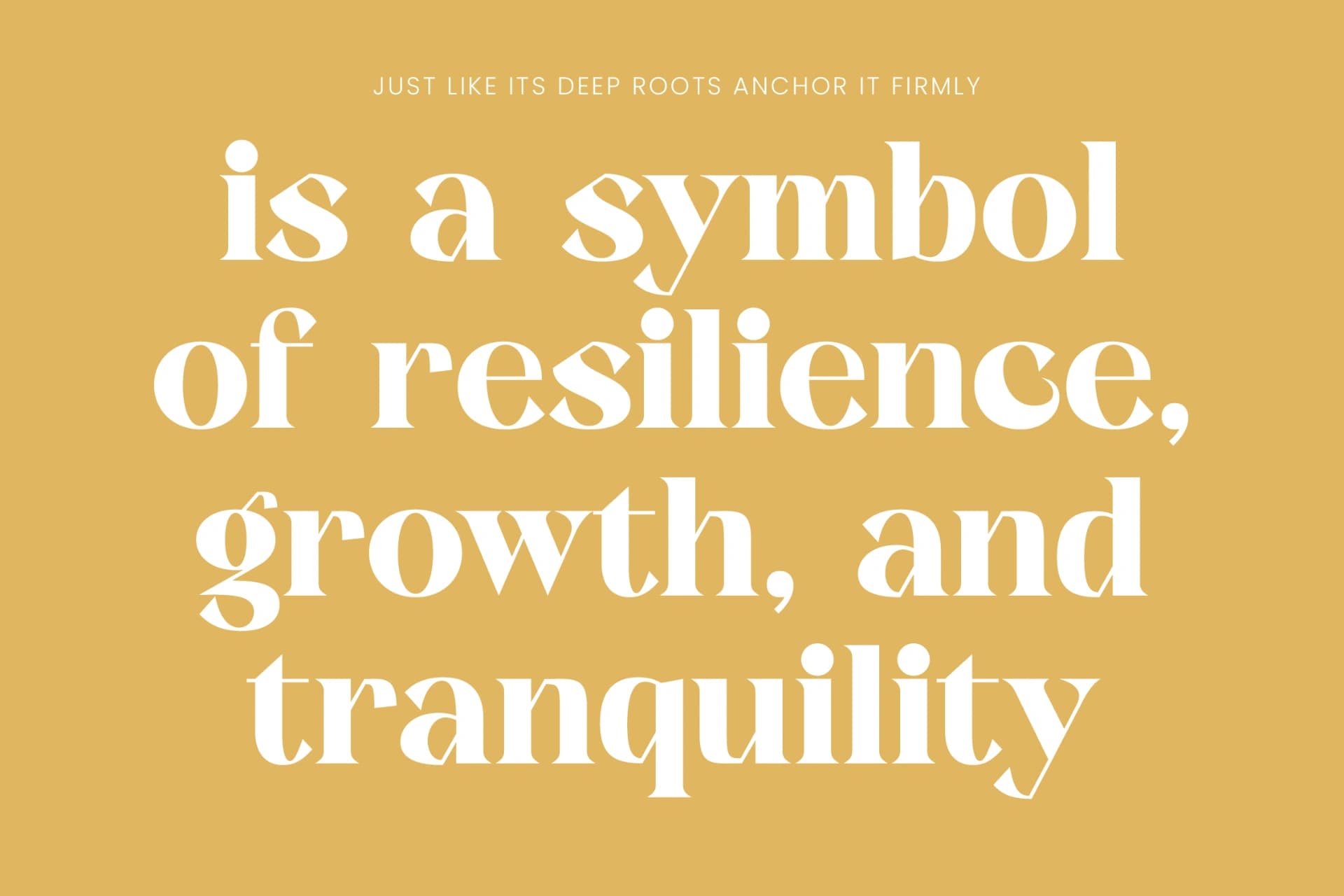 Preview 14 for Kavare - Bold Serif Typeface