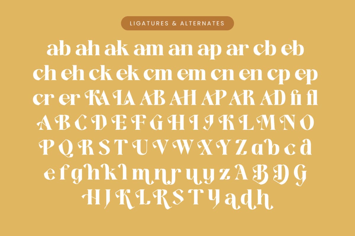 Kavare - Bold Serif Typeface font preview 18