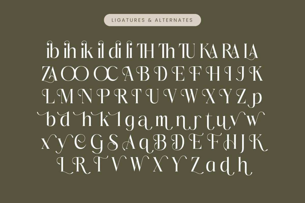 Preview 18 for Mezaira - Modern Serif Font