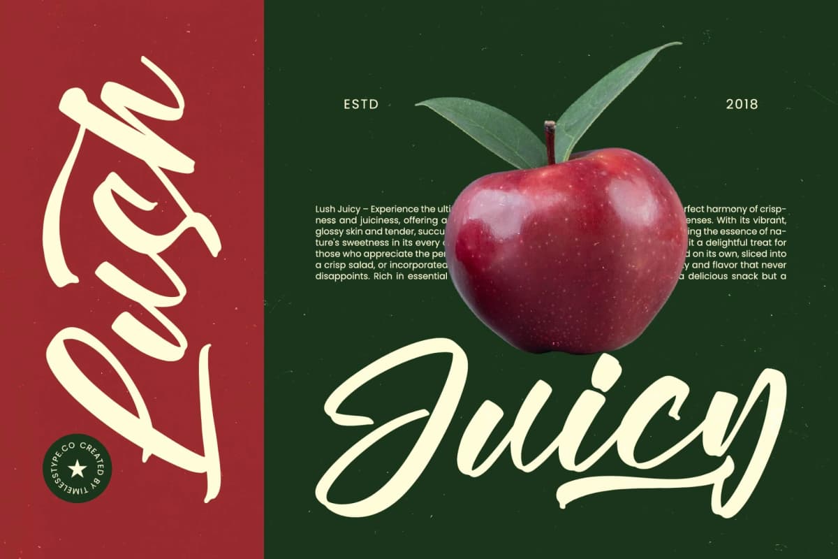 Vaughn Daniel - Bold Handwritten Font font preview 3