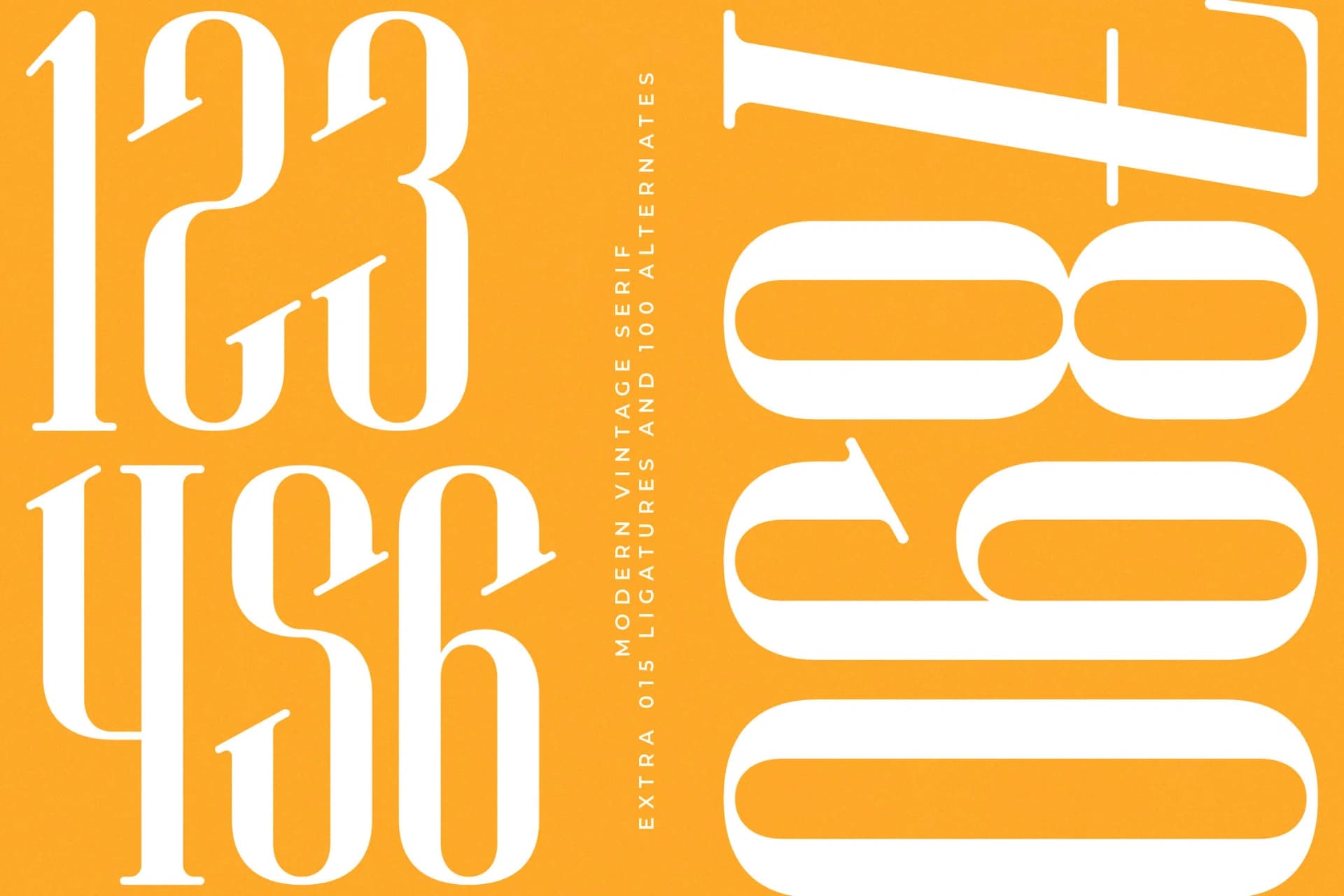 Preview 14 for Winstgue - Modern Vintage Serif