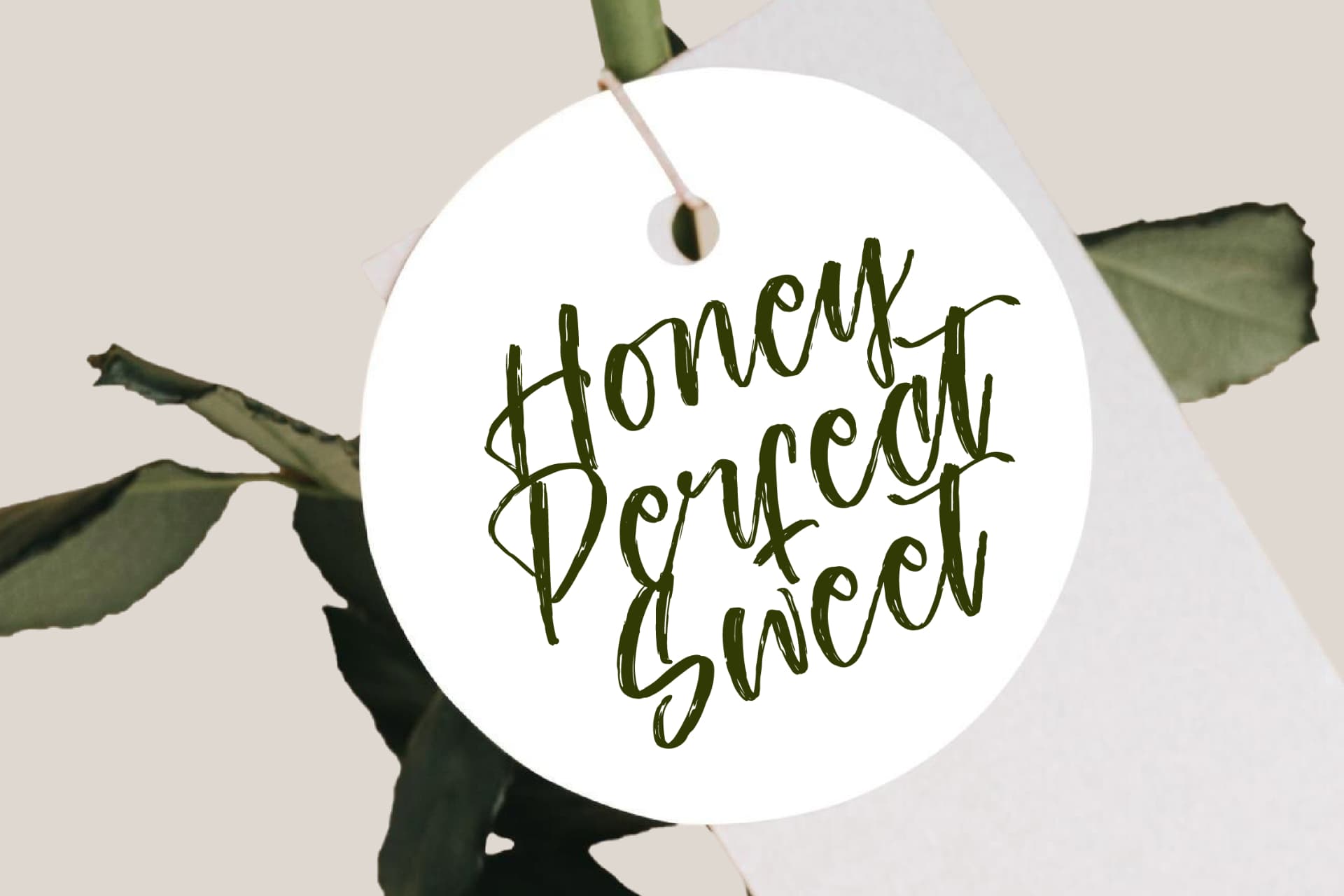 Preview 6 for Ungkar Scripta - Modern Brush Font