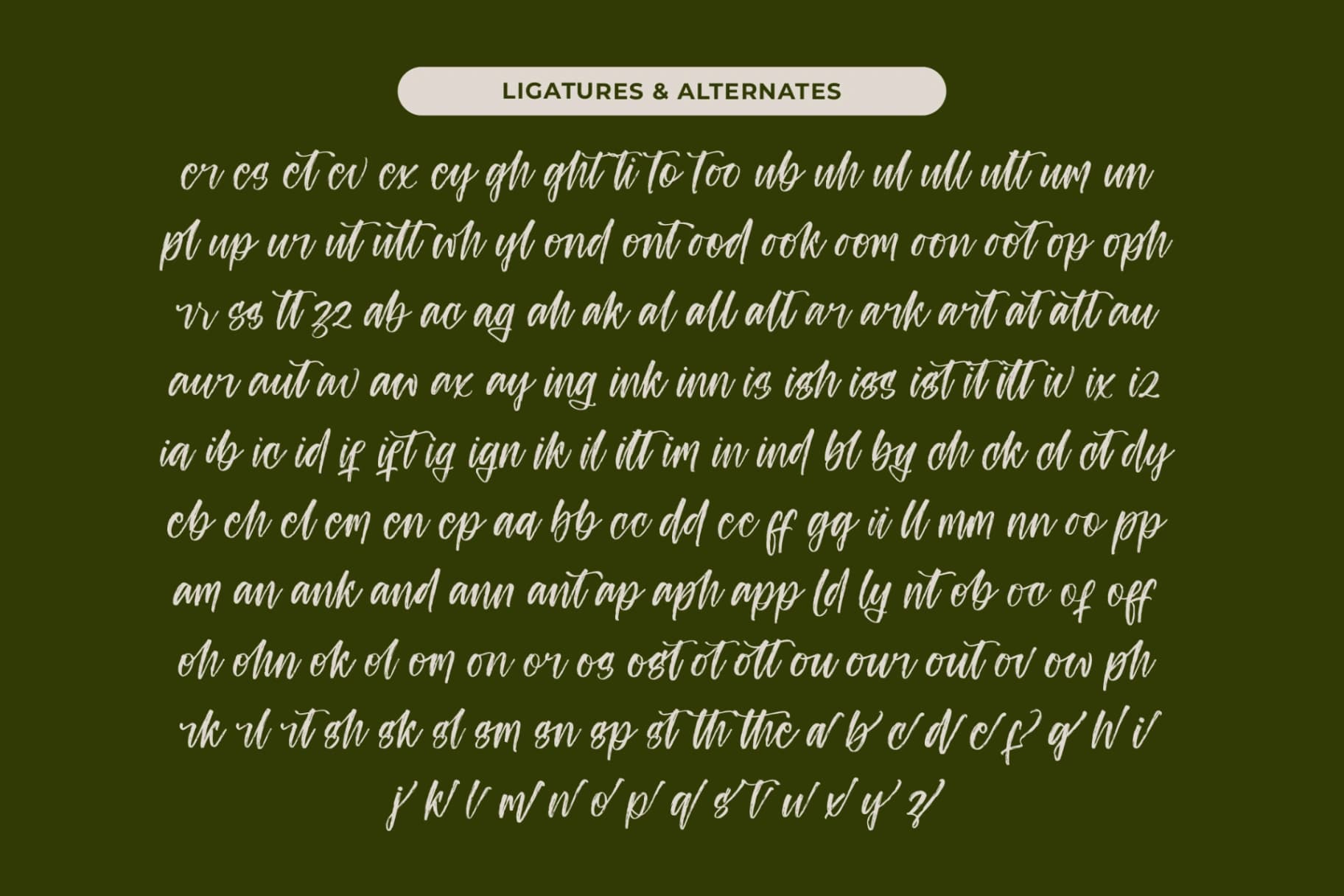 Preview 18 for Ungkar Scripta - Modern Brush Font