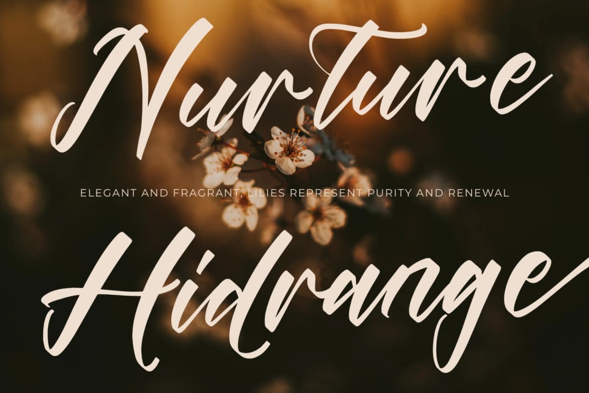 Players Climber - Modern Handwritten Font font preview 8