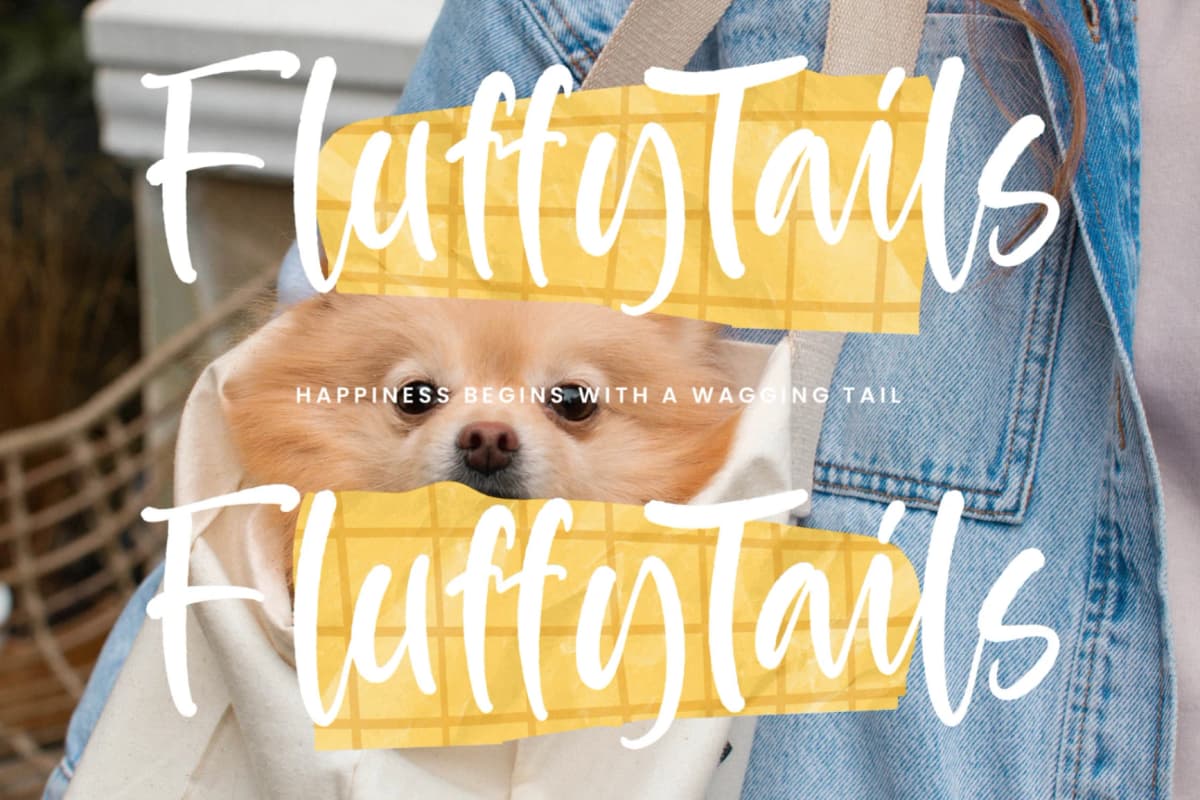 Apricot Bubbles - Modern Handwritten Font font preview 15