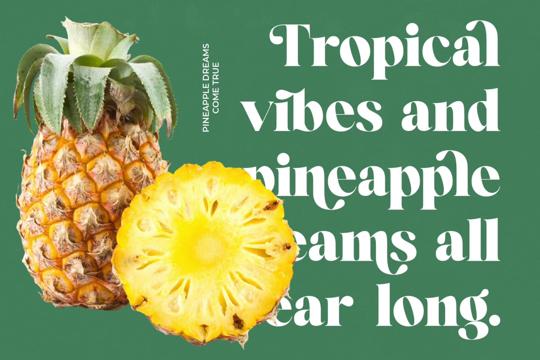 Preview 11 for Mirage Tropic - Modern Serif Font