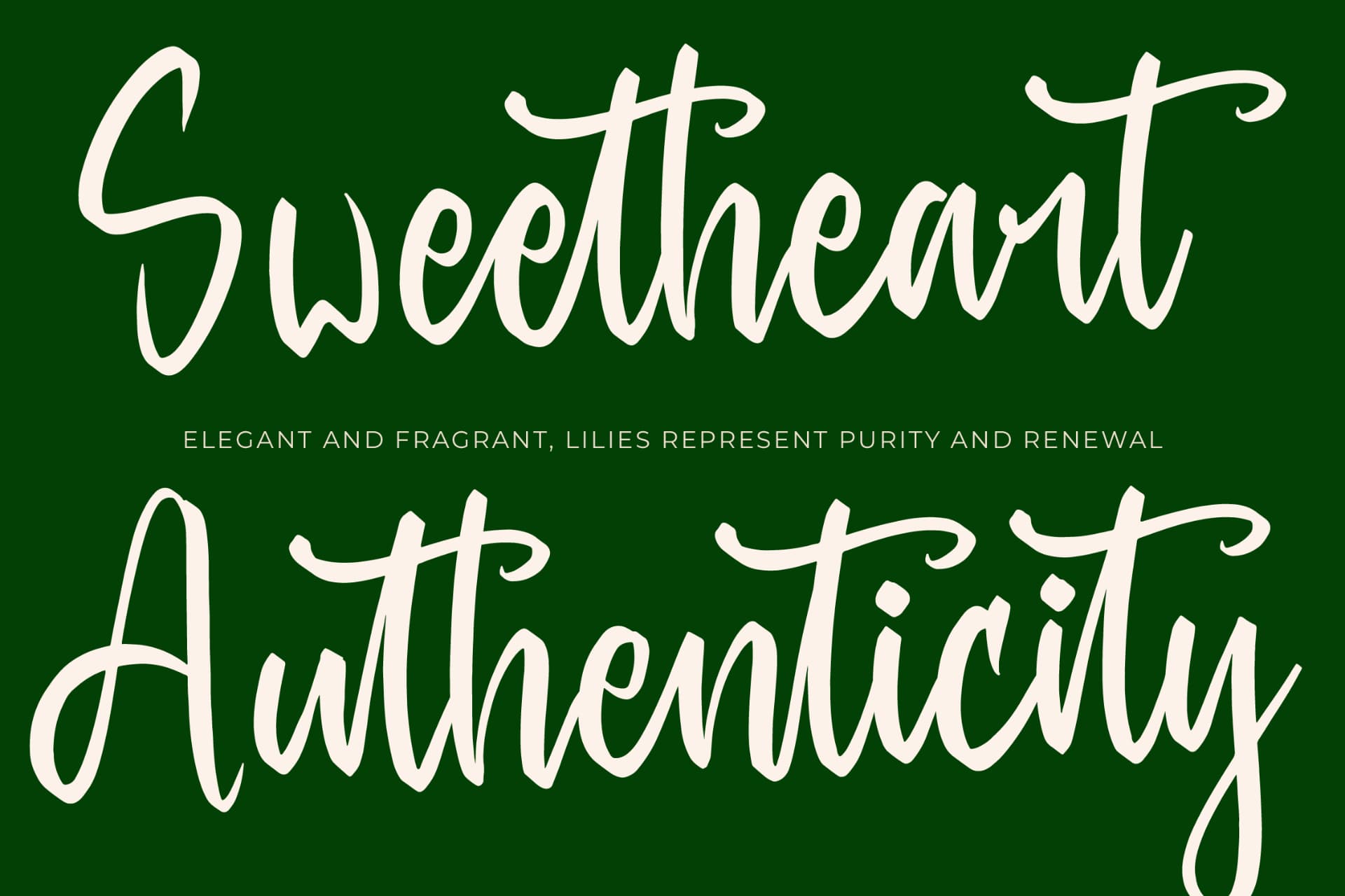 Preview 8 for Baghera Thenetta - Modern Handwritten Font