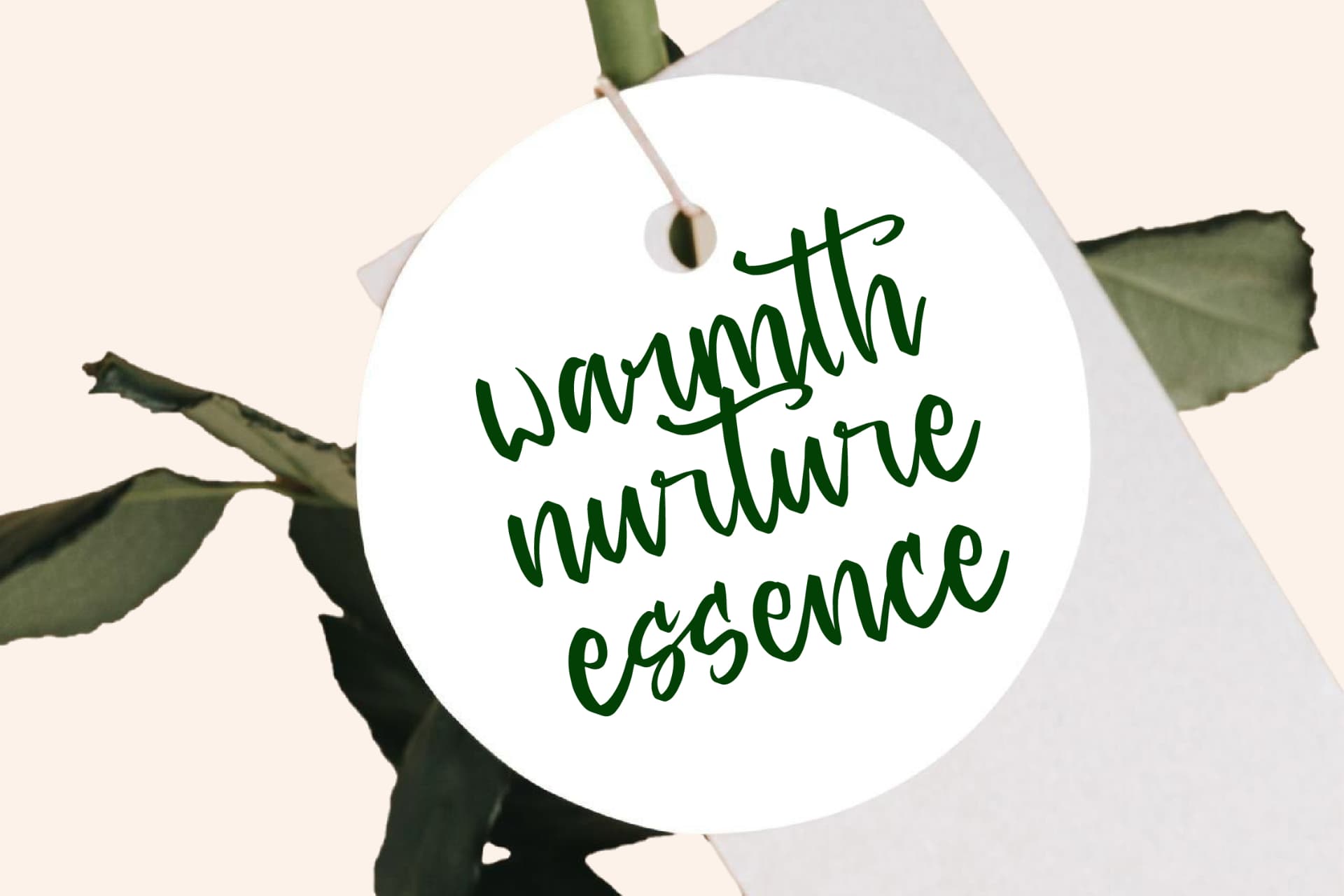 Preview 9 for Baghera Thenetta - Modern Handwritten Font