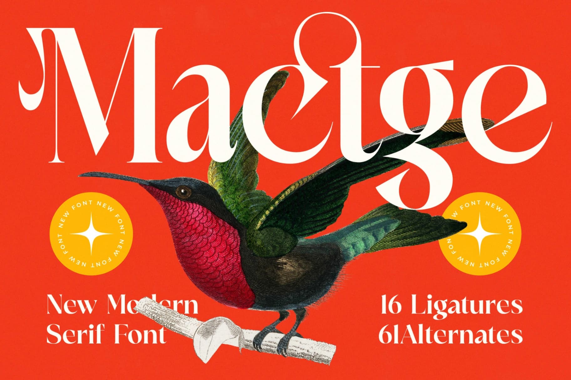 Preview of Mactge - New Modern Serif Font font