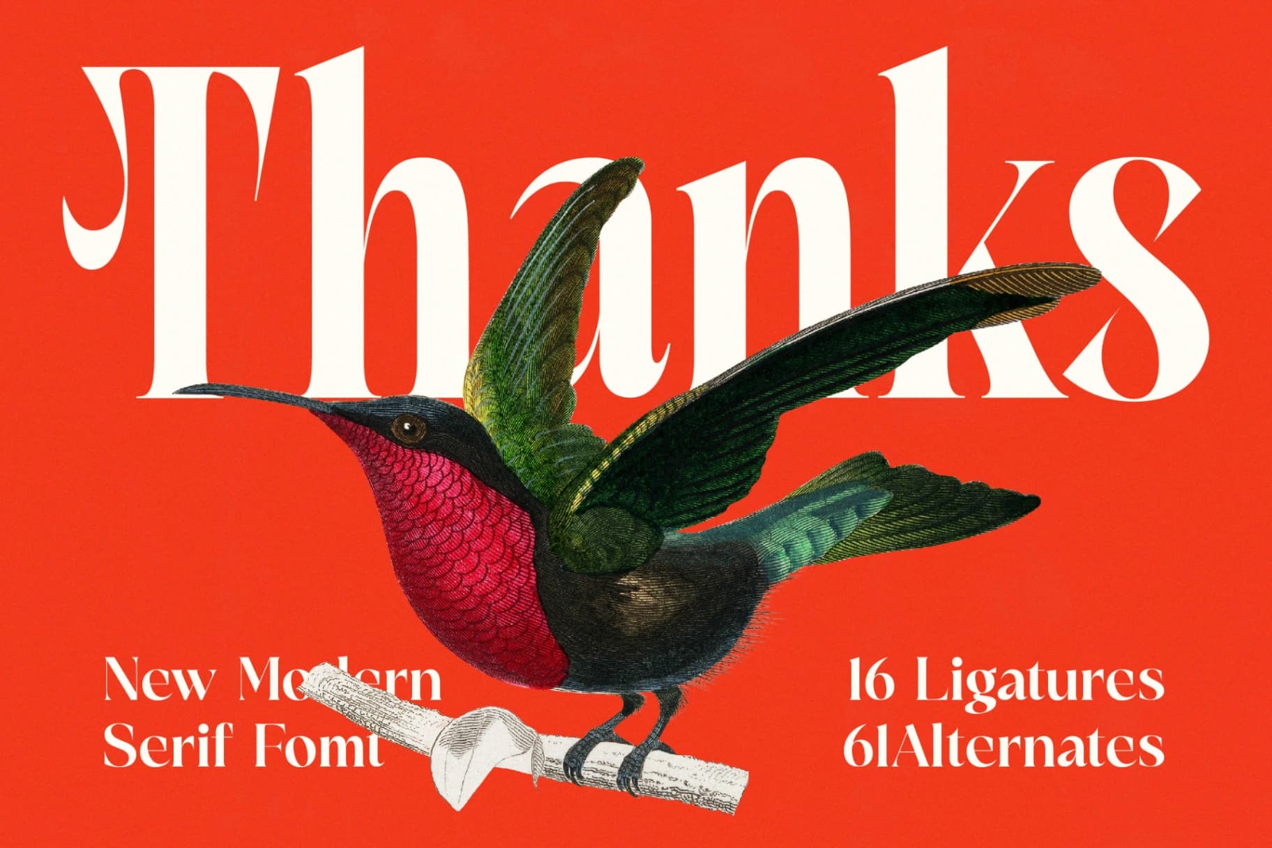 Preview 20 for Mactge - New Modern Serif Font