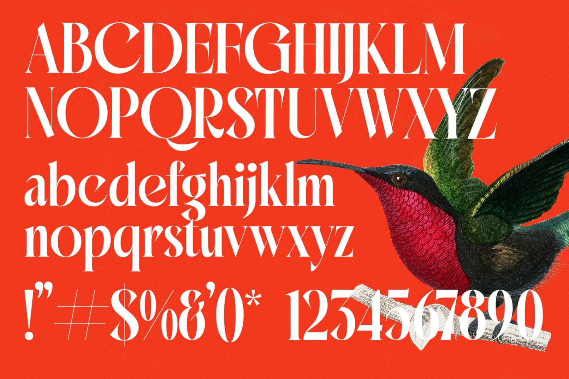 Preview 18 for Mactge - New Modern Serif Font