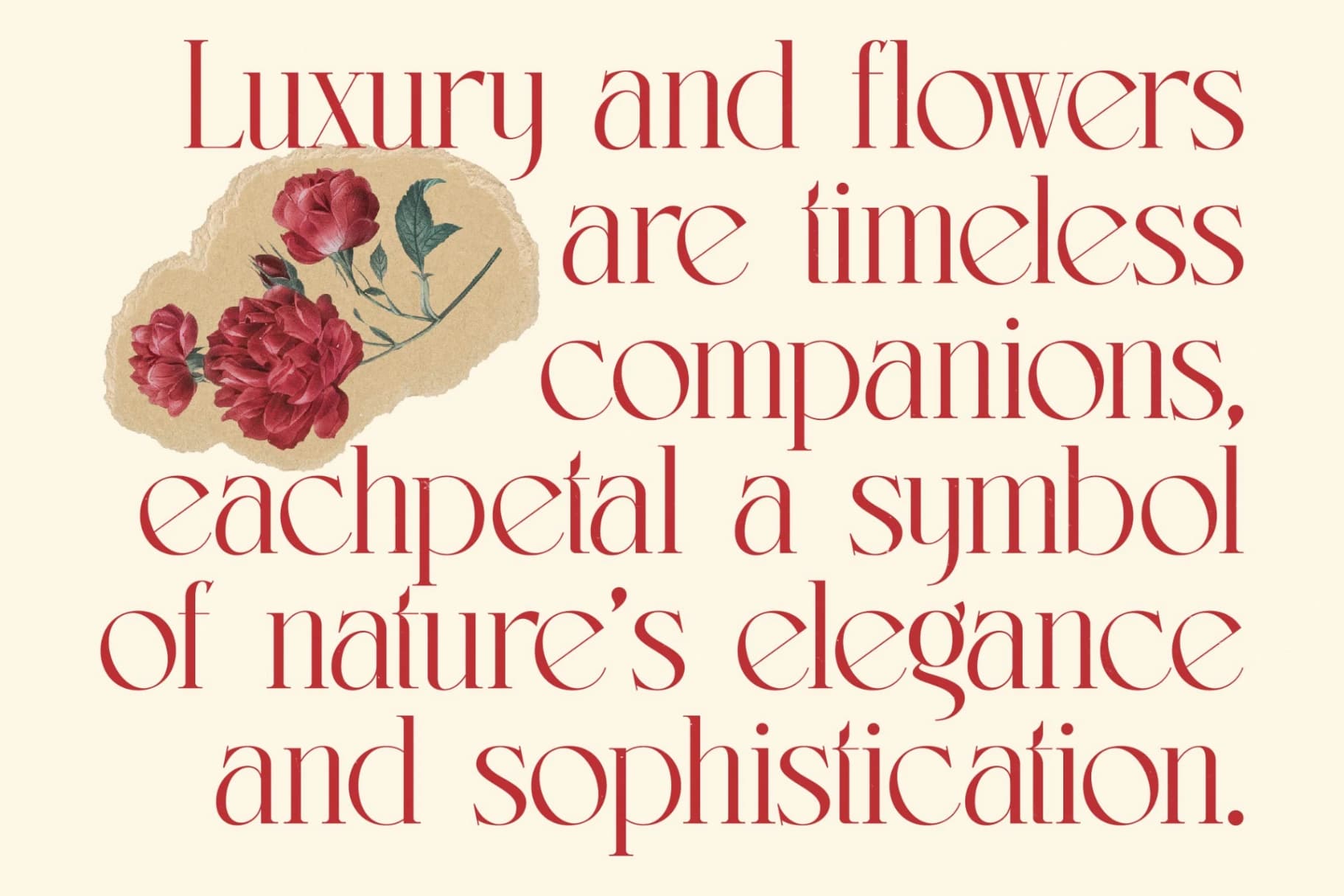 Preview 13 for Lermith - Tall Serif Display Font