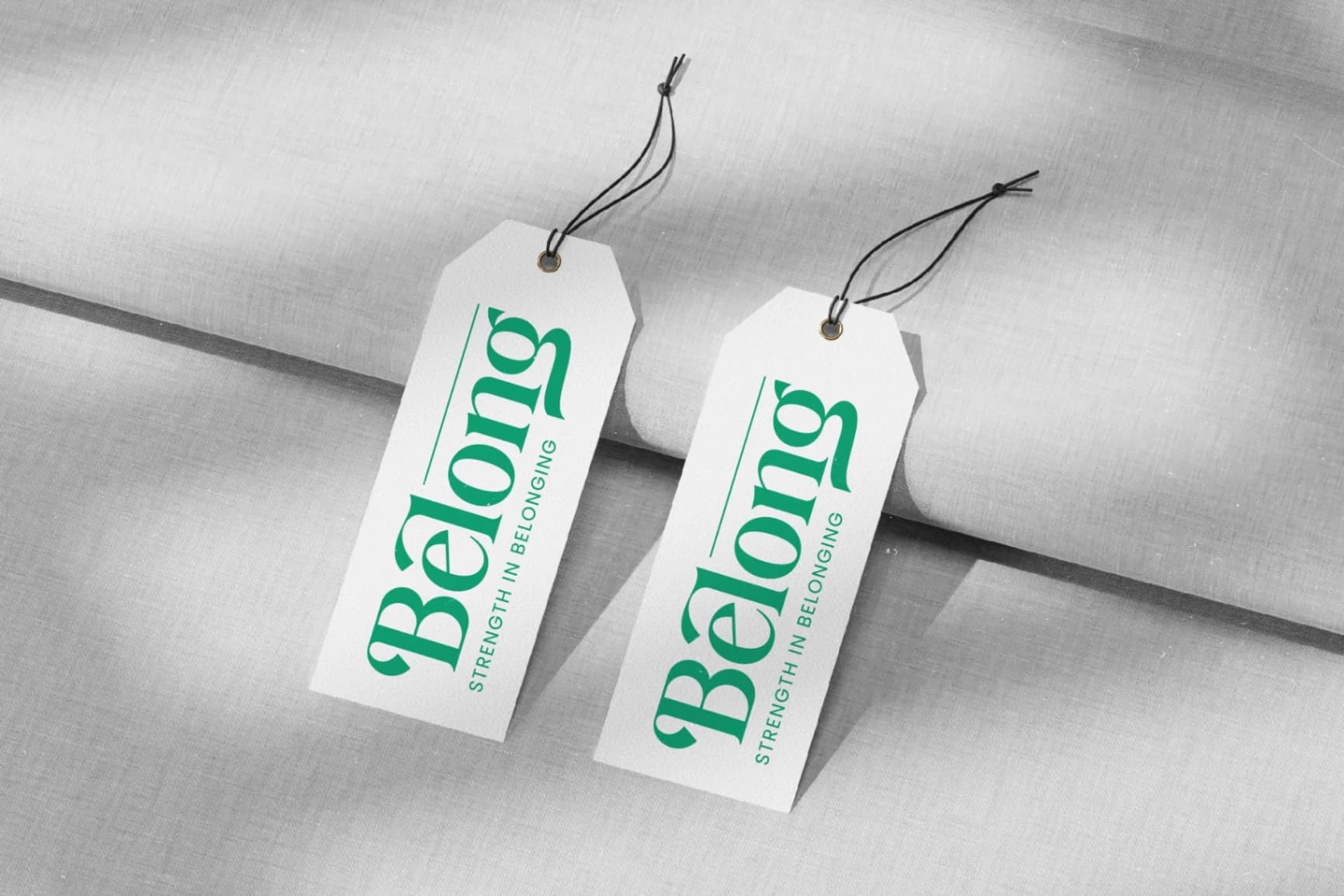 Preview 10 for Adjust Smile - Bold Tall Serif Display Font