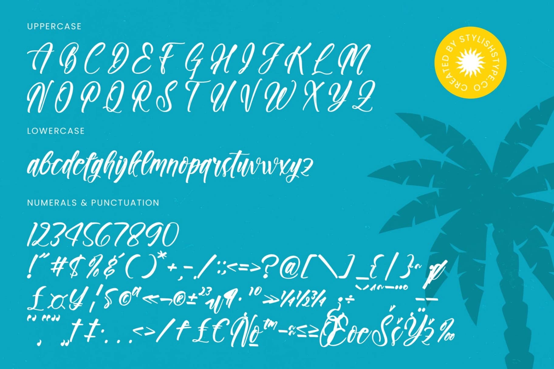 Preview 18 for Paradise Holistay - Bold Brush Font