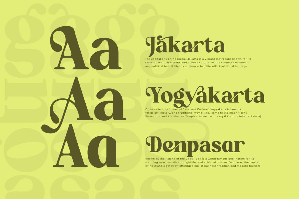 Repag Bayoe - Bold Restro Serif Font font preview 12