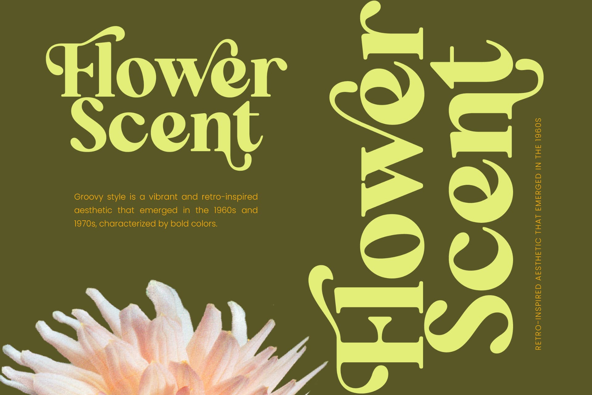 Preview 3 for Repag Bayoe - Bold Restro Serif Font
