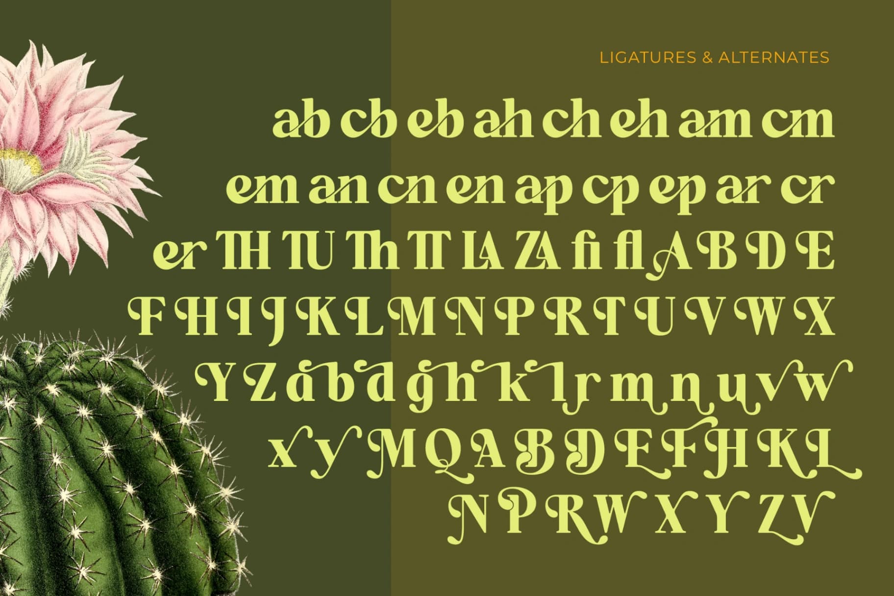 Preview 18 for Repag Bayoe - Bold Restro Serif Font
