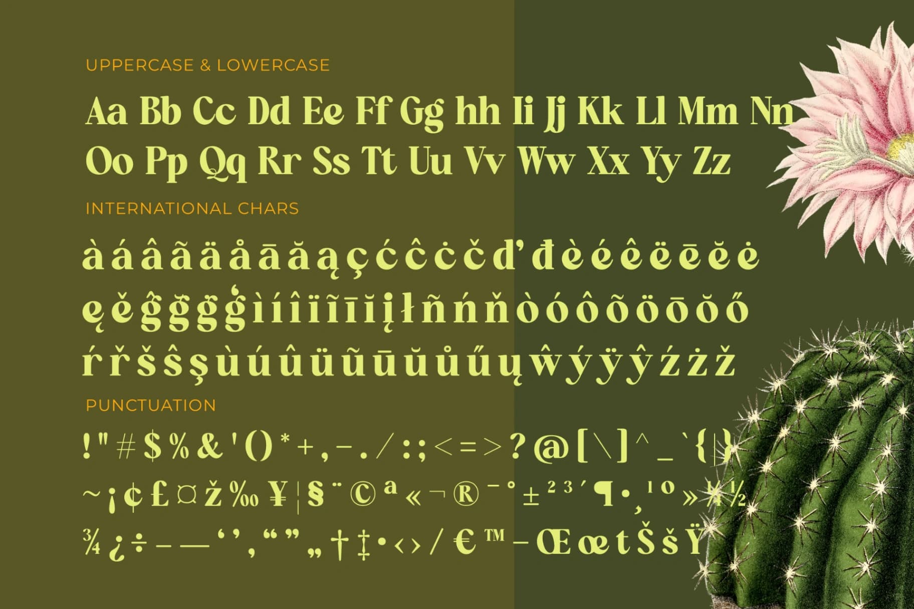 Preview 19 for Repag Bayoe - Bold Restro Serif Font