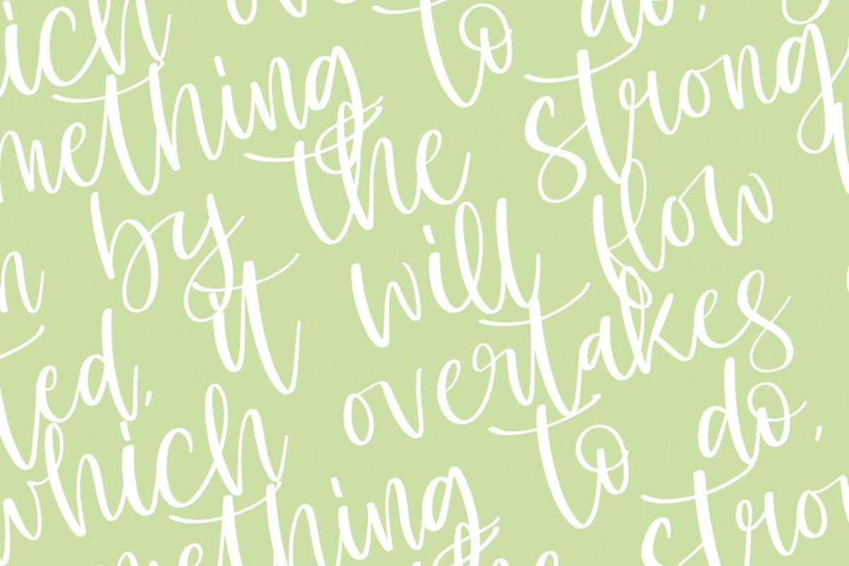 Shelter Melody - Handwritten Script Font font preview 13