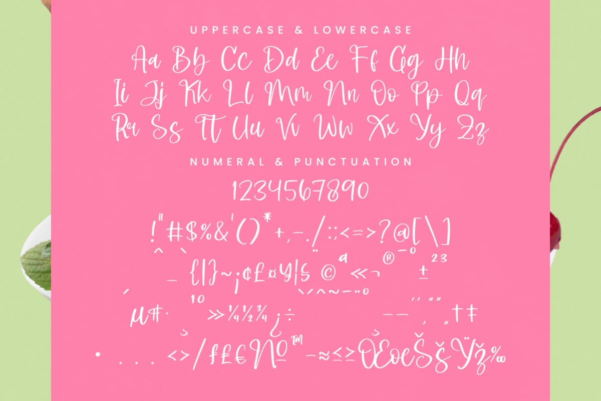 Shelter Melody - Handwritten Script Font font preview 18