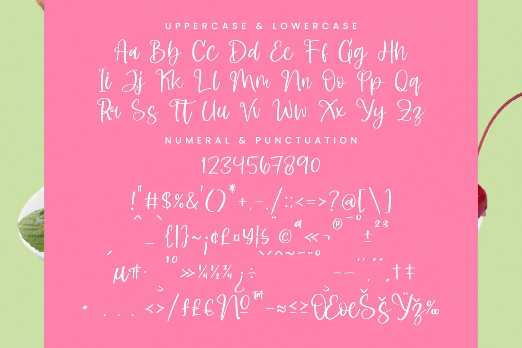 Preview 18 for Shelter Melody - Handwritten Script Font