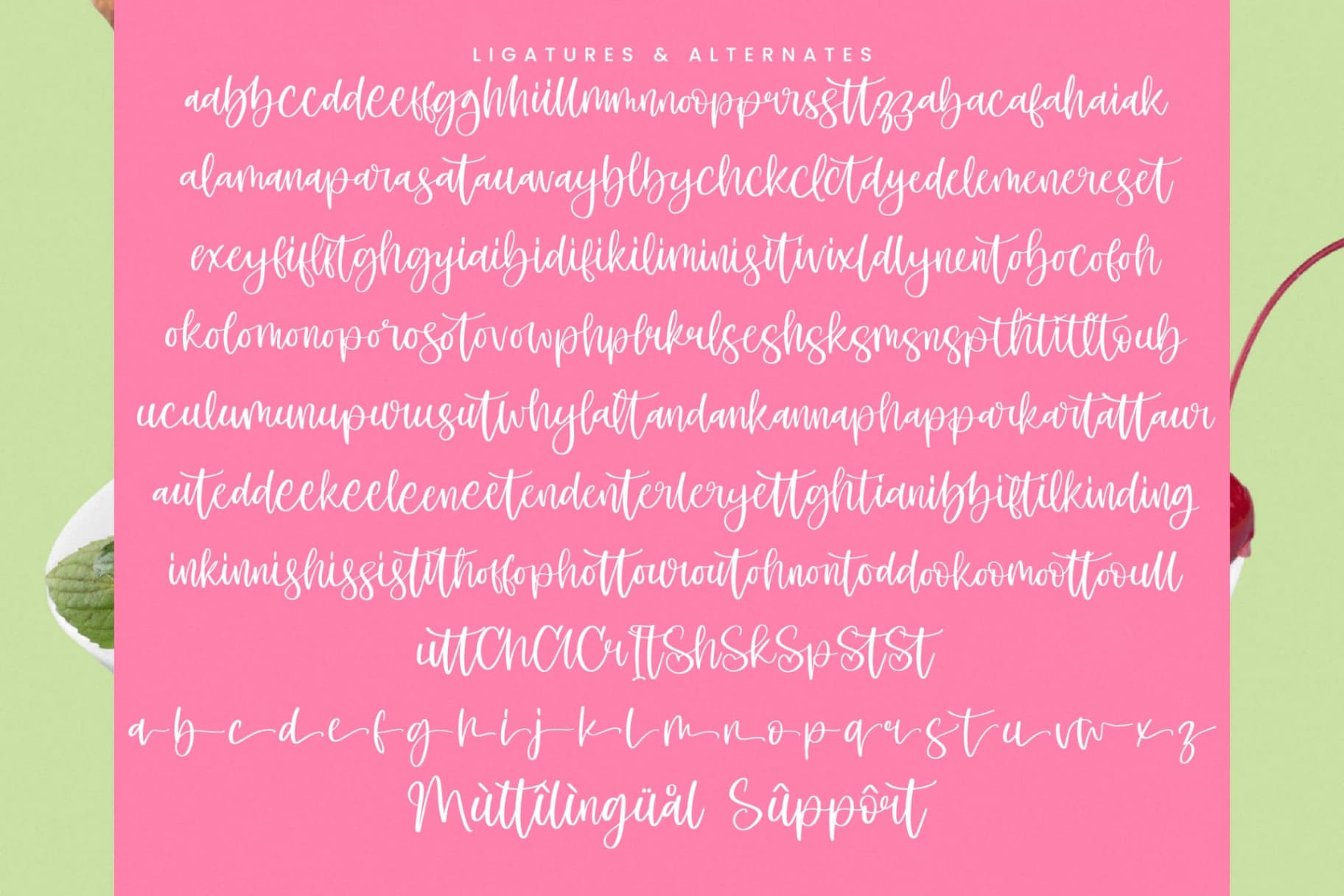 Preview 19 for Shelter Melody - Handwritten Script Font
