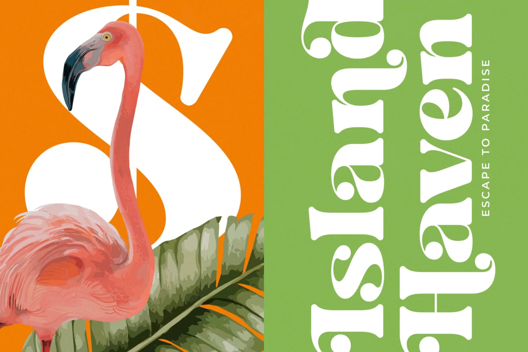 Preview 3 for Bright Fresh - New Bold Serif Font