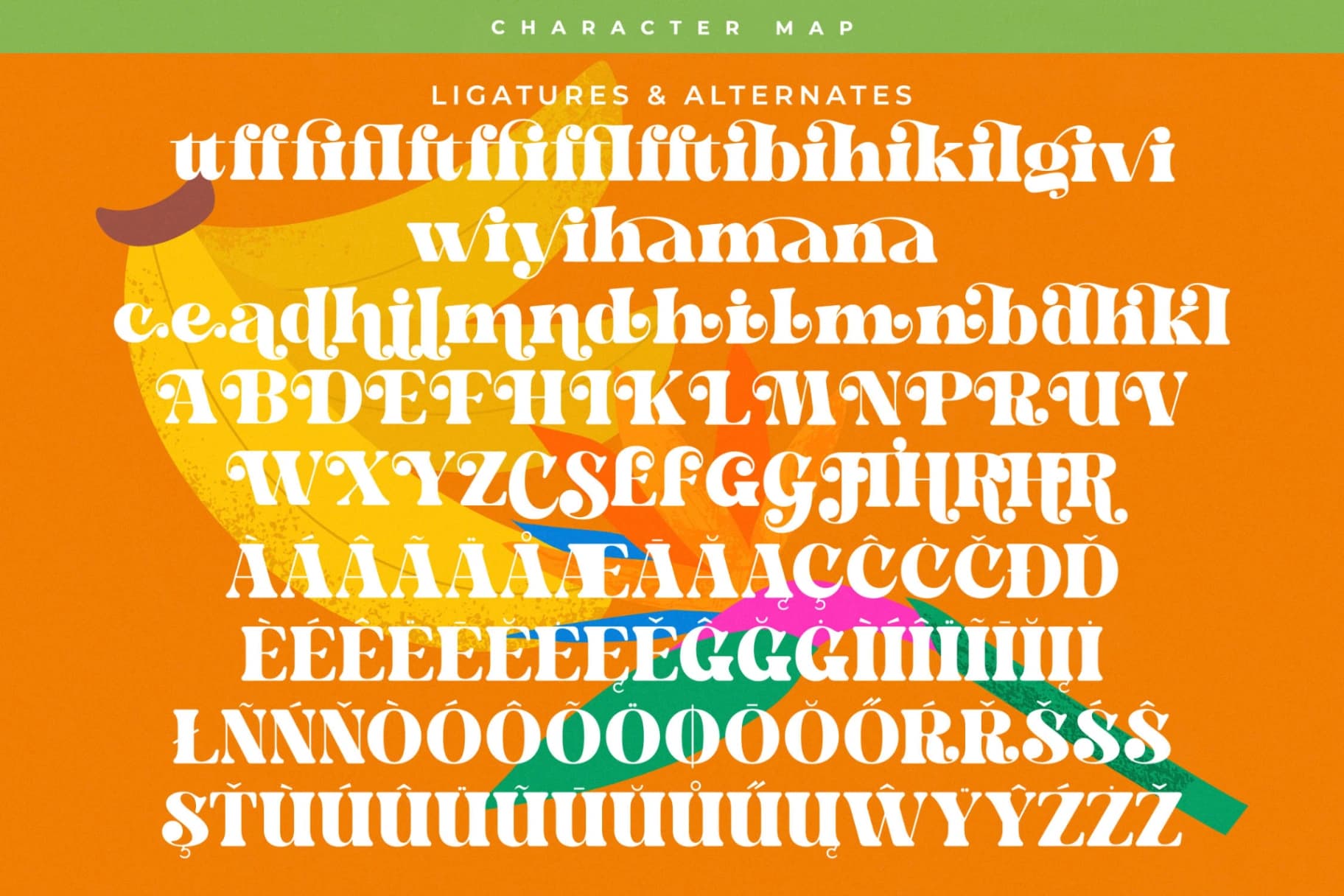 Preview 19 for Bright Fresh - New Bold Serif Font