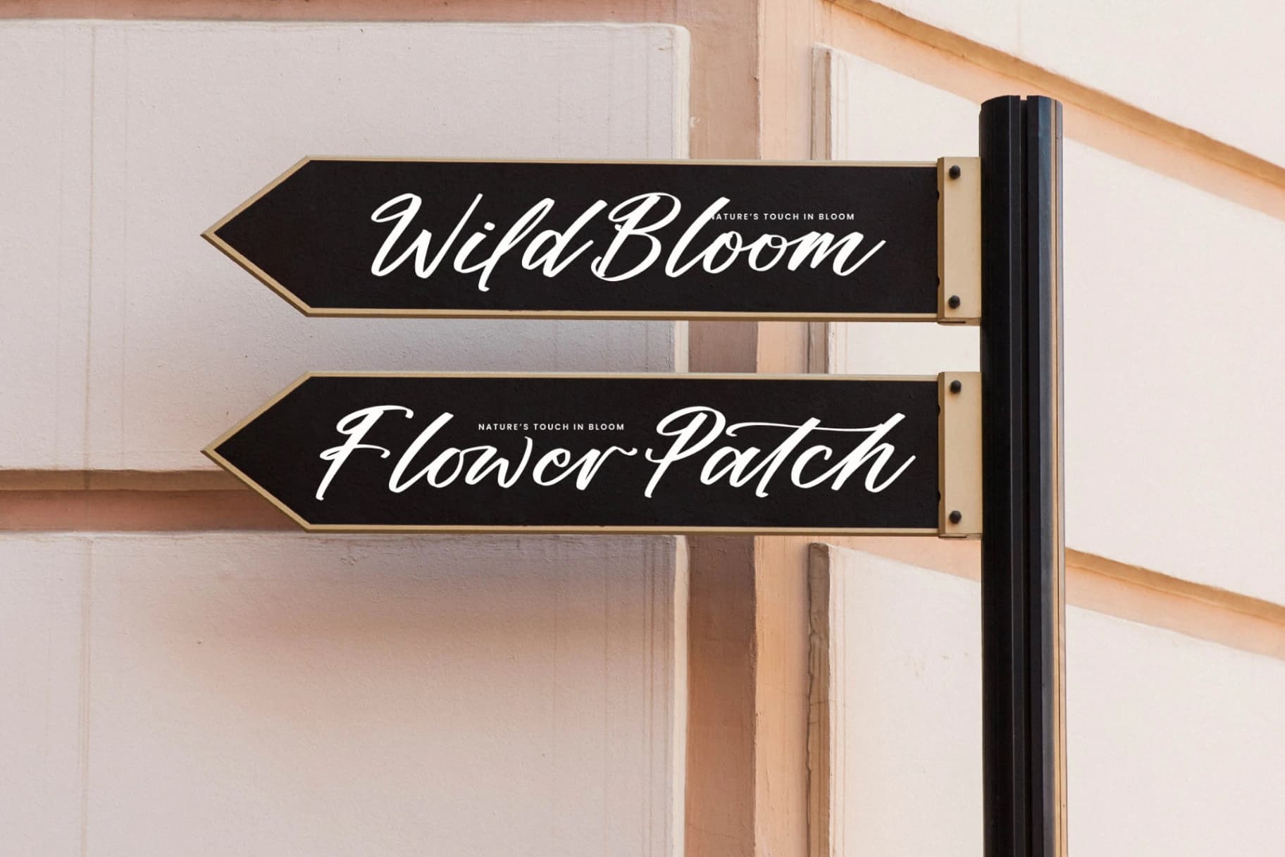 Preview 2 for Althena Juliette - Modern Elegant Handwritten
