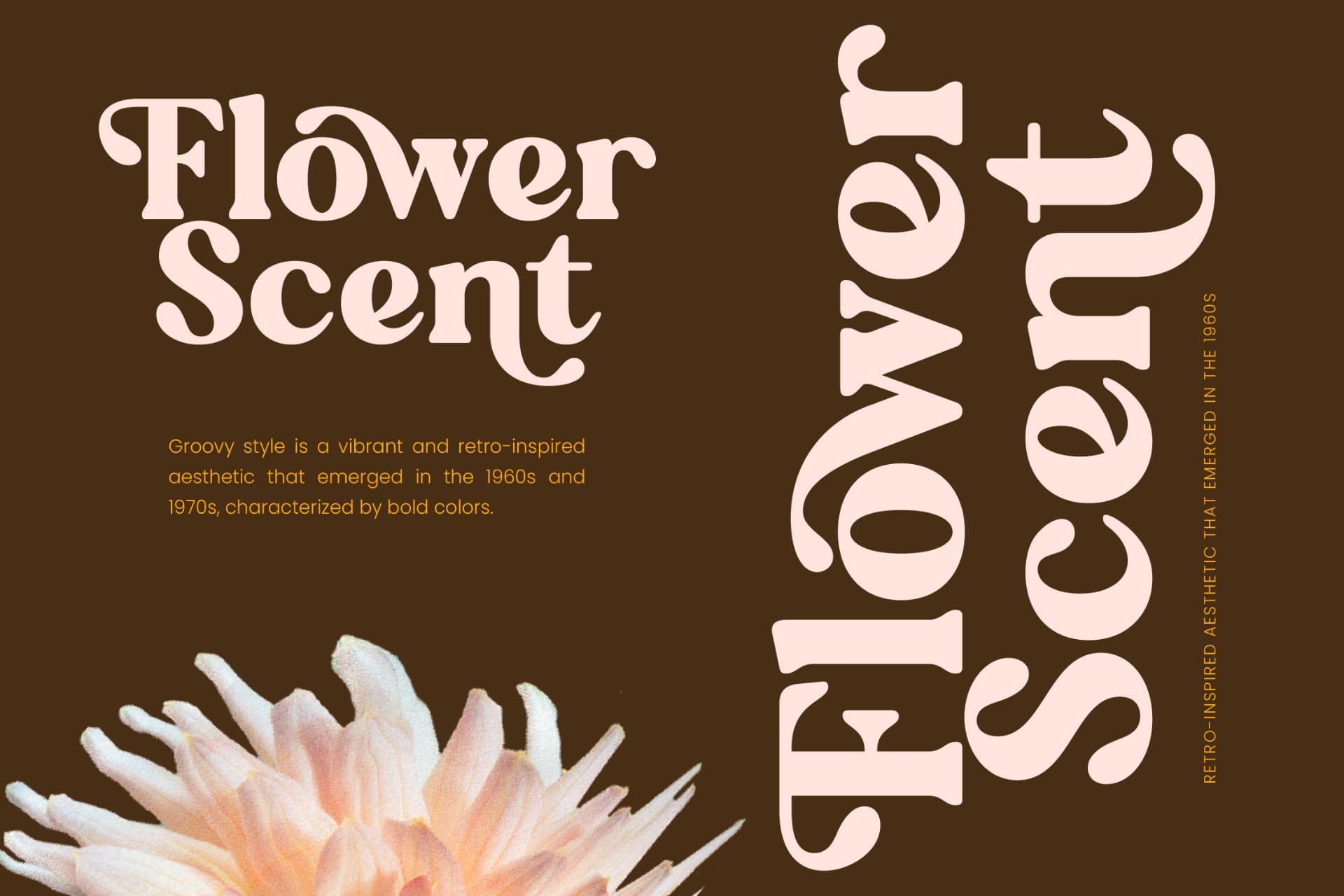 Preview 13 for Regina Morise - Classy Retro Serif Font