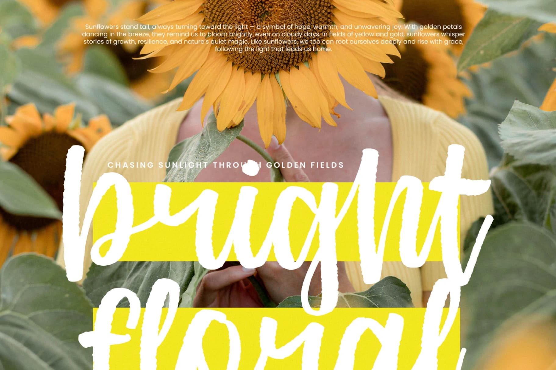 Preview 5 for Aprils Joyful - Modern Handbrush Font