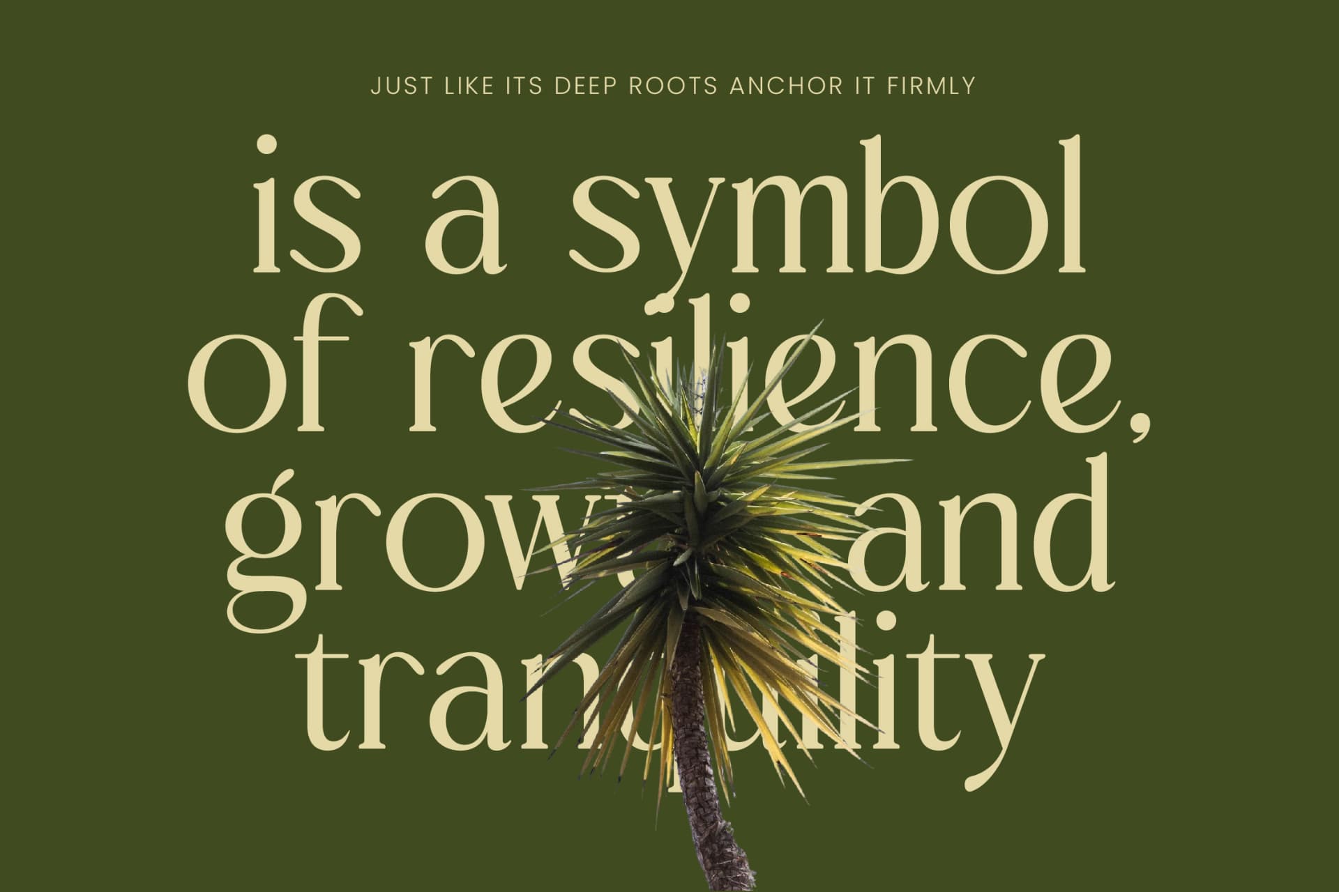 Preview 3 for Royale Grosta - Vintage Serif Font