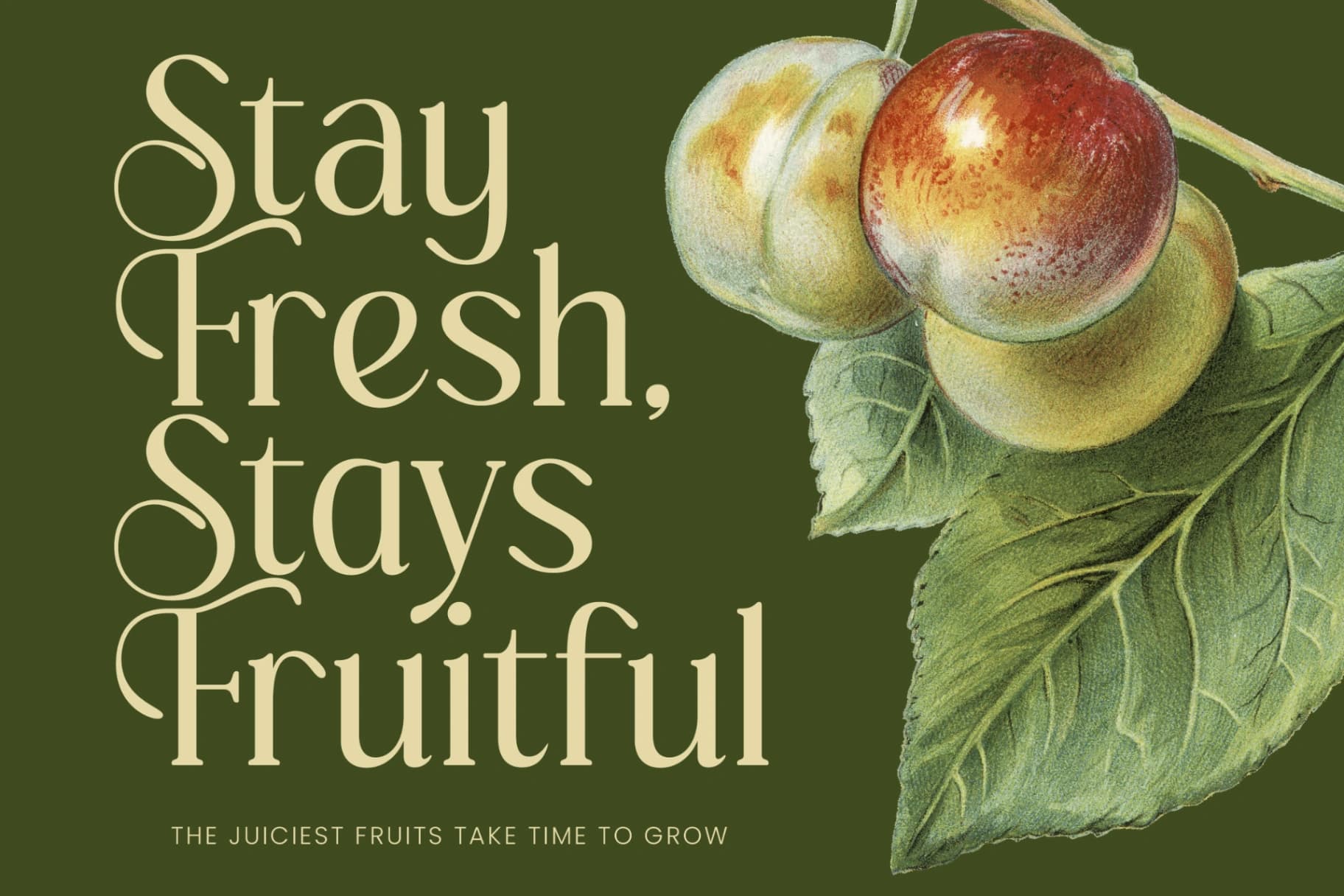 Preview 7 for Royale Grosta - Vintage Serif Font