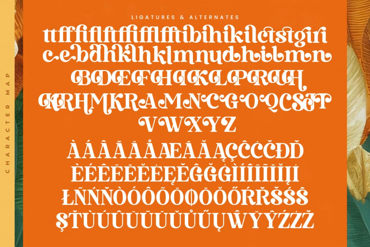 Preview 19 for Bruge Vibes - Bold Alternate Serif Font