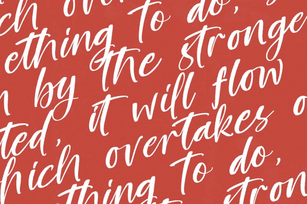 Blakely Quincy - Bold Handbrush Script font preview 15